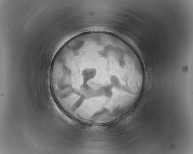 X0000115090847200911171216
