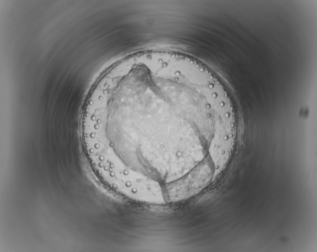 X0000115090848200911171216