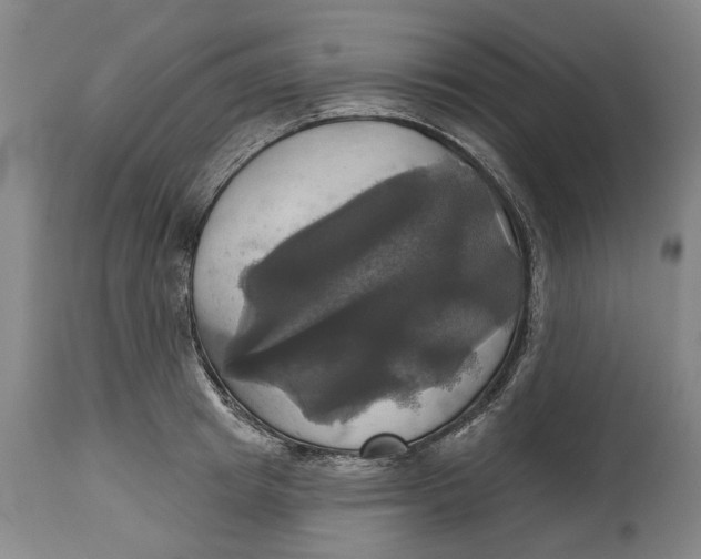 X0000115090849200911171216