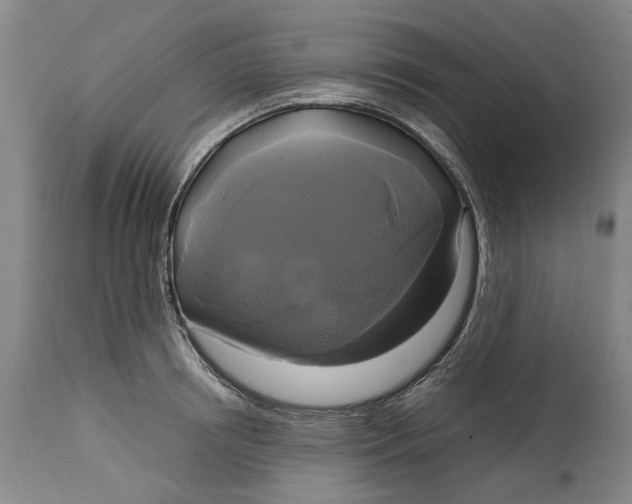 X0000115090850200911171216