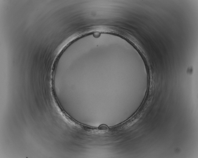 X0000115090853200911171216