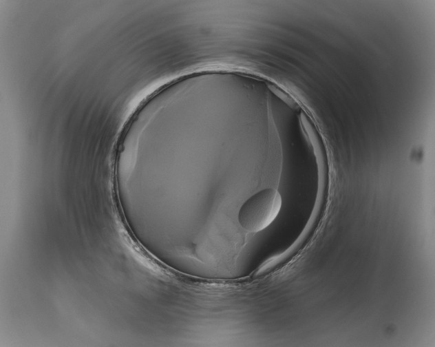 X0000115090854200911171216