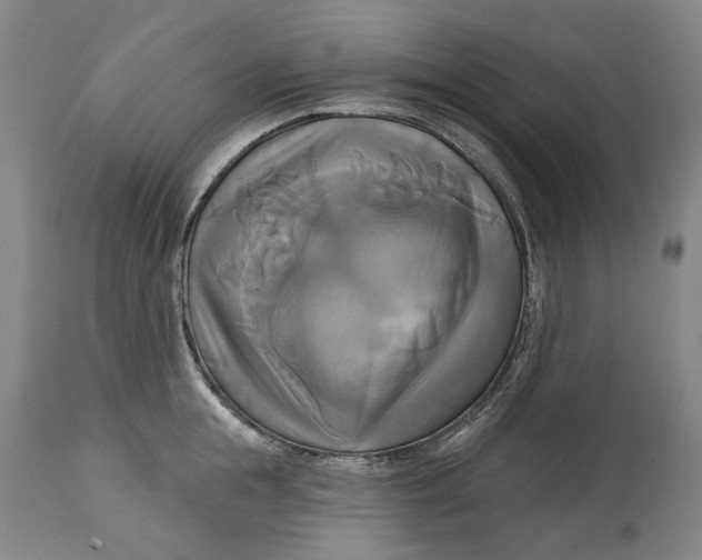 X0000115090855200911171216