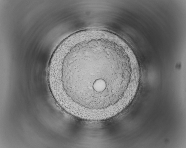 X0000115090856200911171216