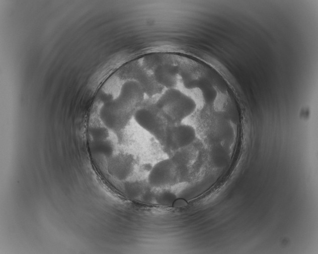 X0000115090857200911171216