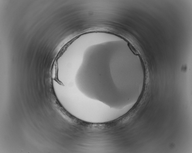 X0000115090858200911171216