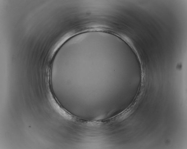 X0000115090859200911171216
