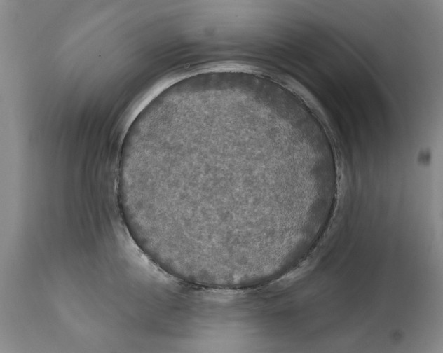 X0000115090860200911171216