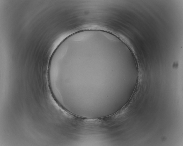 X0000115090863200911171216