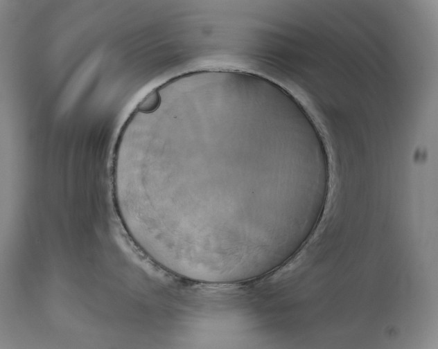 X0000115090864200911171216