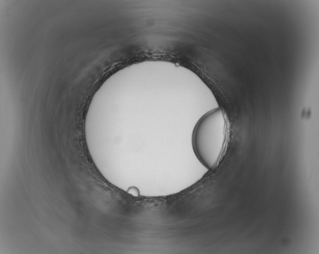X0000115090865200911171215