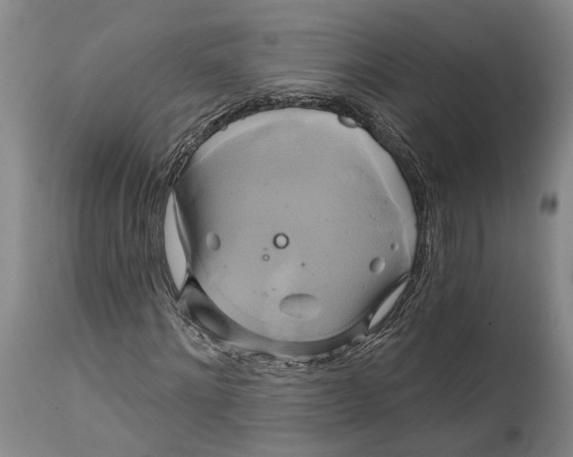 X0000115090868200911171215