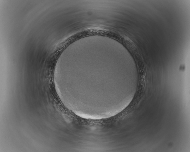 X0000115090870200911171215