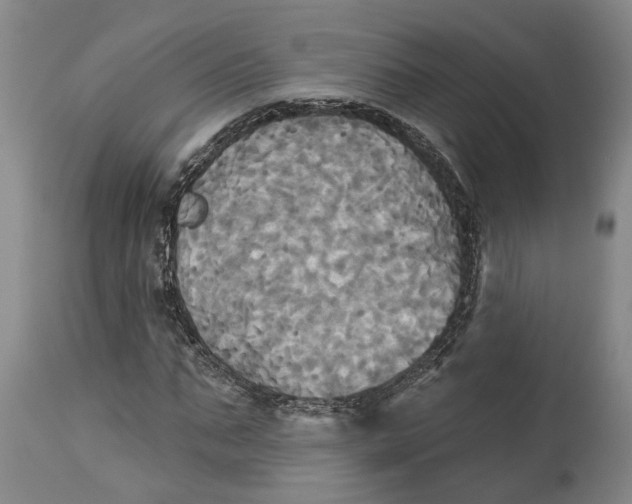 X0000115090871200911171215