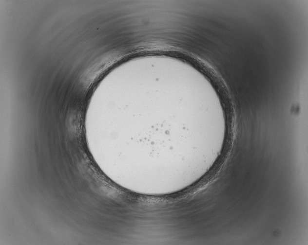 X0000115090873200911171215