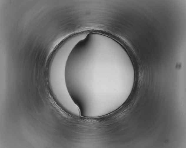 X0000115090878200911171215