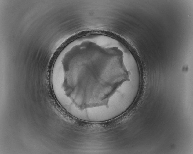 X0000115090879200911171215