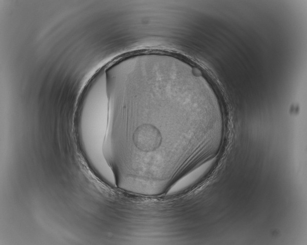 X0000115090880200911171215