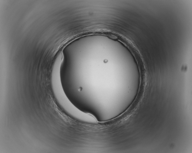 X0000115090881200911171215