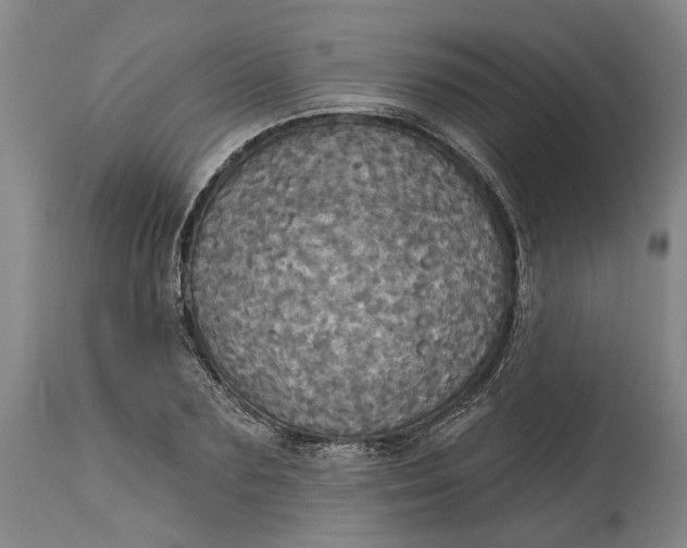 X0000115090883200911171215