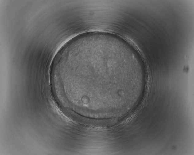 X0000115090884200911171215