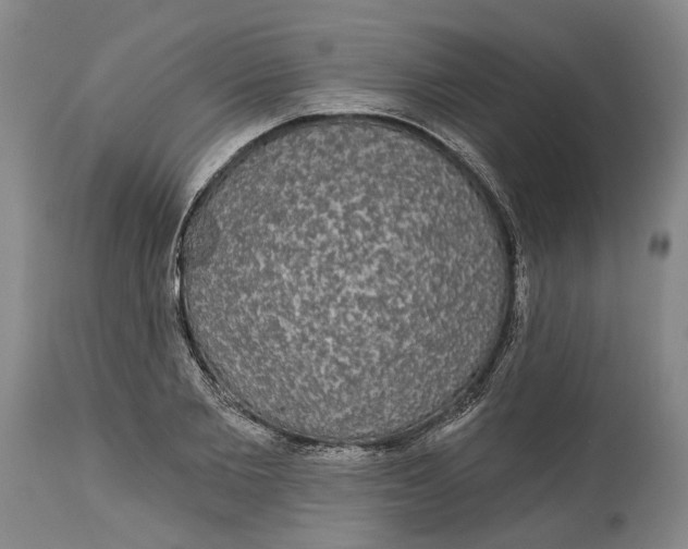 X0000115090885200911171215
