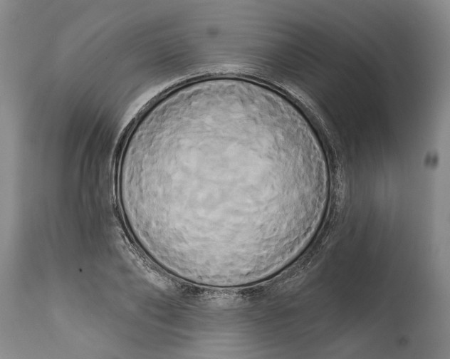 X0000115090886200911171215