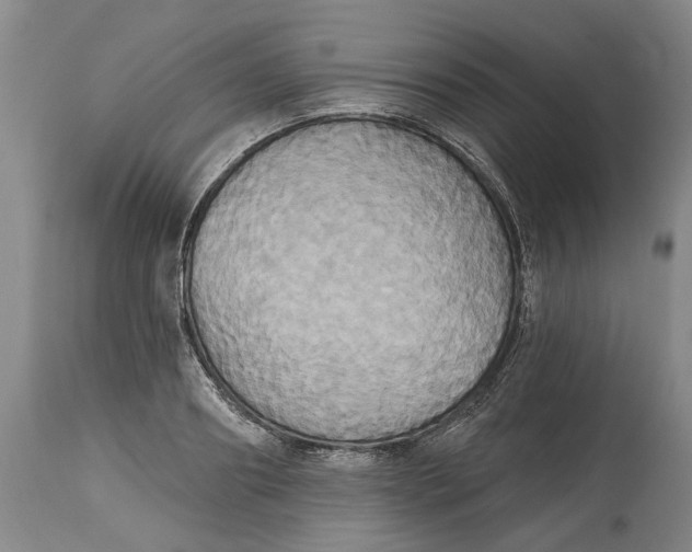 X0000115090890200911171215