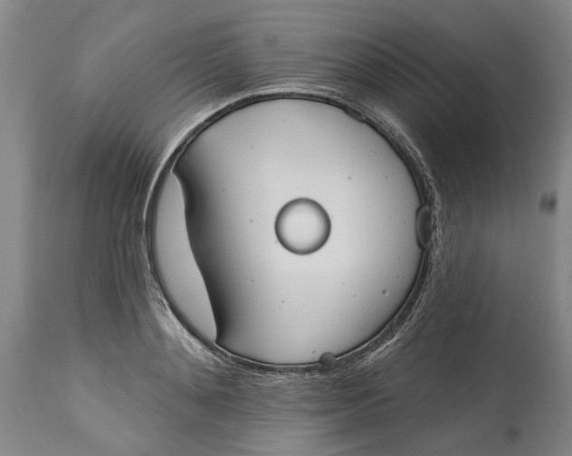 X0000115090892200911171215