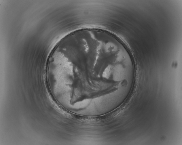 X0000115090895200911171215