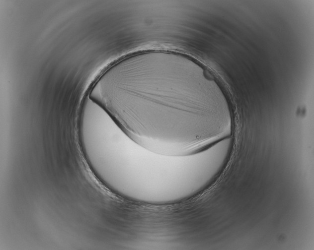 X0000115090896200911171215