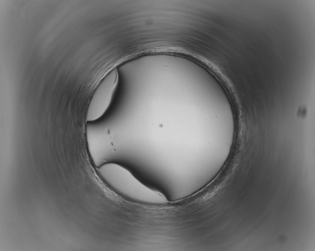 X0000115090897200911171215
