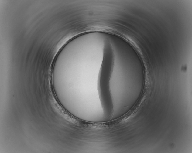 X0000115090899200911171215