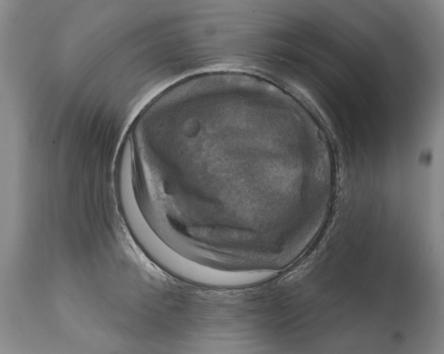 X0000115090900200911171215
