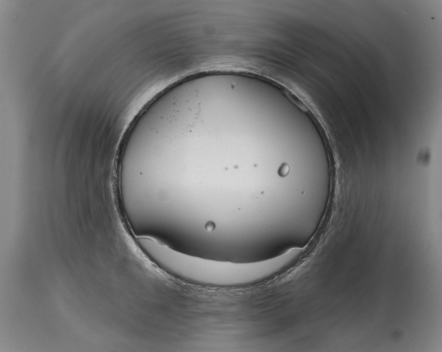 X0000115090901200911171214