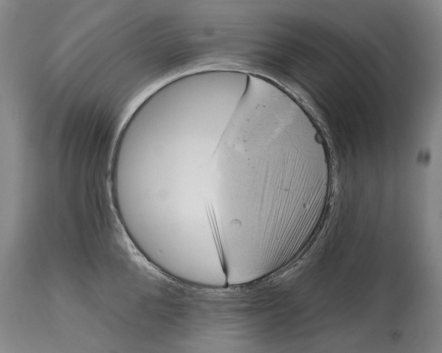 X0000115090904200911171214