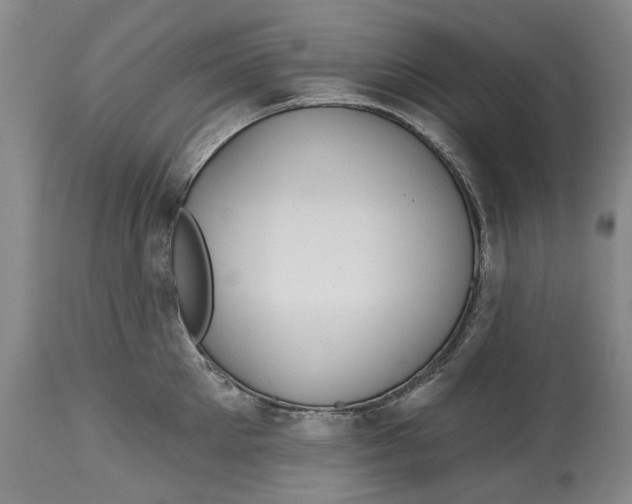 X0000115090905200911171214
