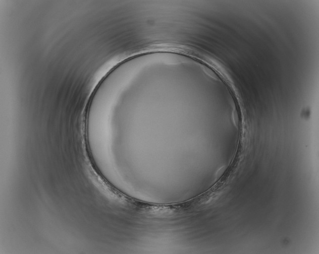 X0000115090907200911171214