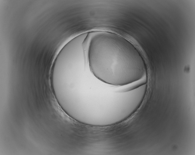 X0000115090908200911171214