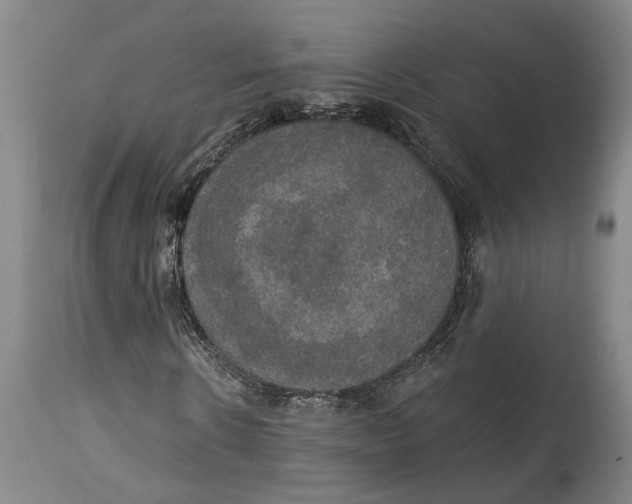 X0000115090914200911171214
