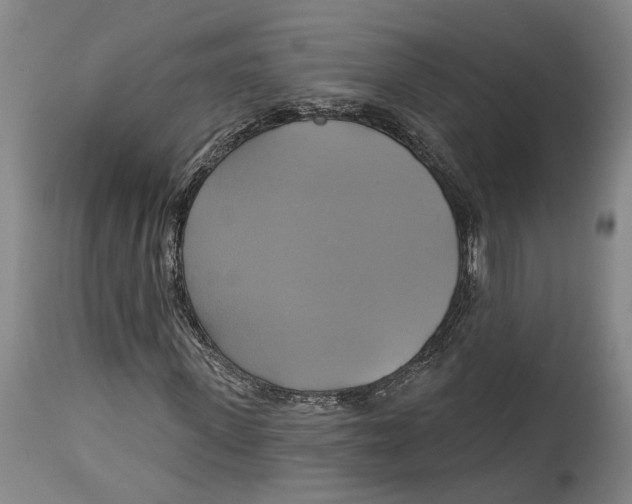X0000115090915200911171214