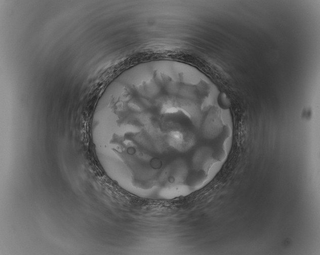 X0000115090917200911171214