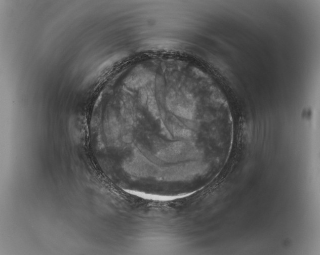 X0000115090918200911171214