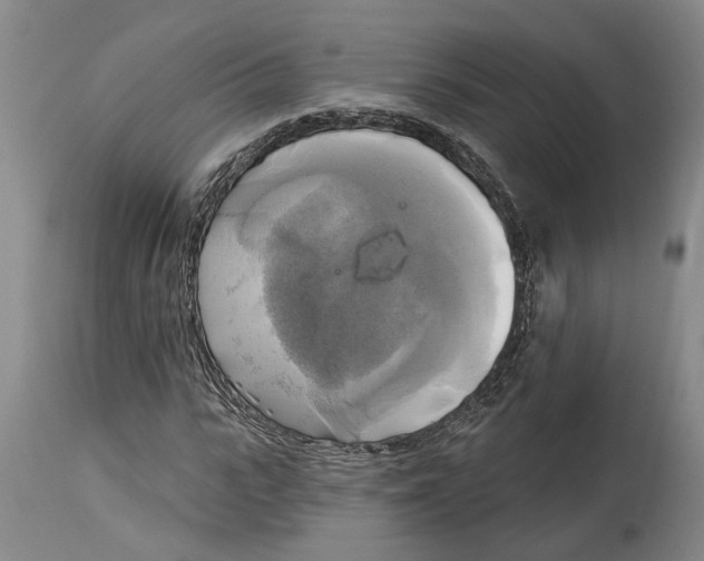 X0000115090919200911171214