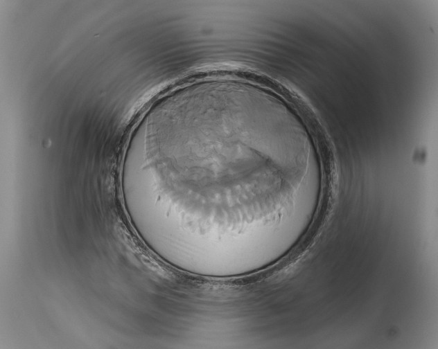 X0000115090921200911171214