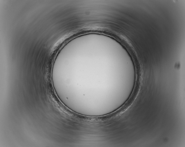 X0000115090922200911171214