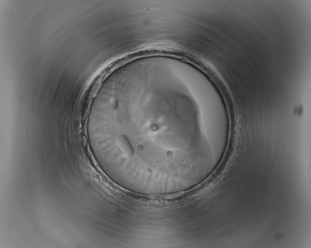 X0000115090923200911171214