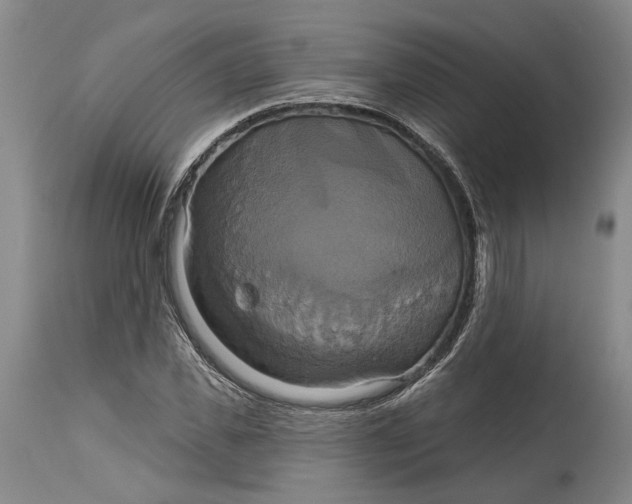 X0000115090925200911171214