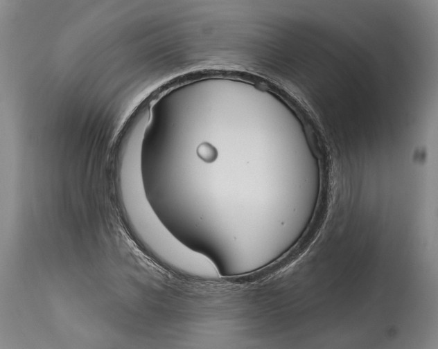 X0000115090926200911171214