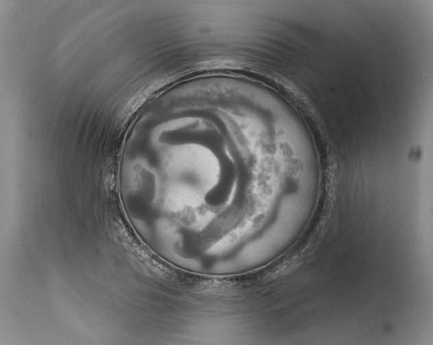 X0000115090929200911171214